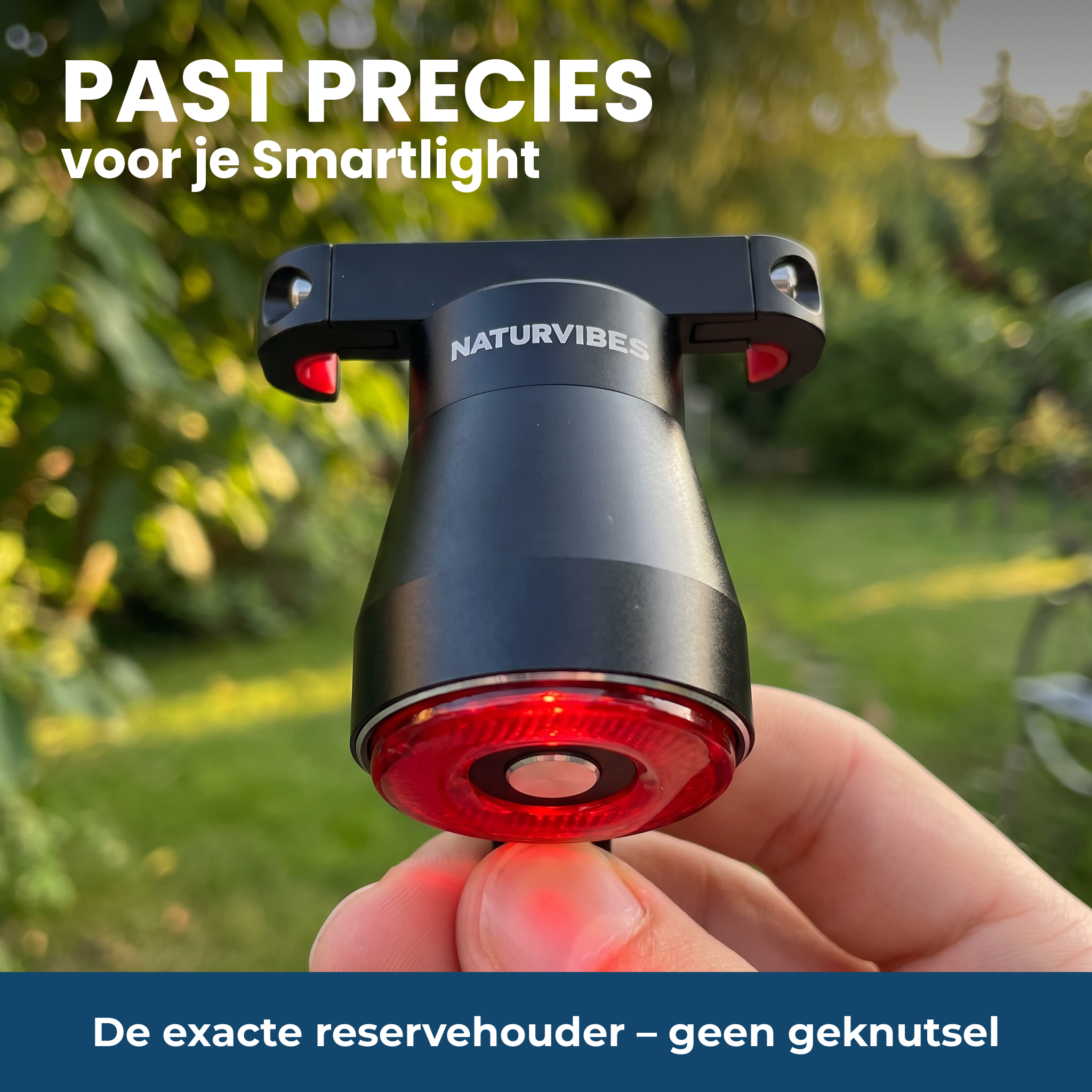 Past precies